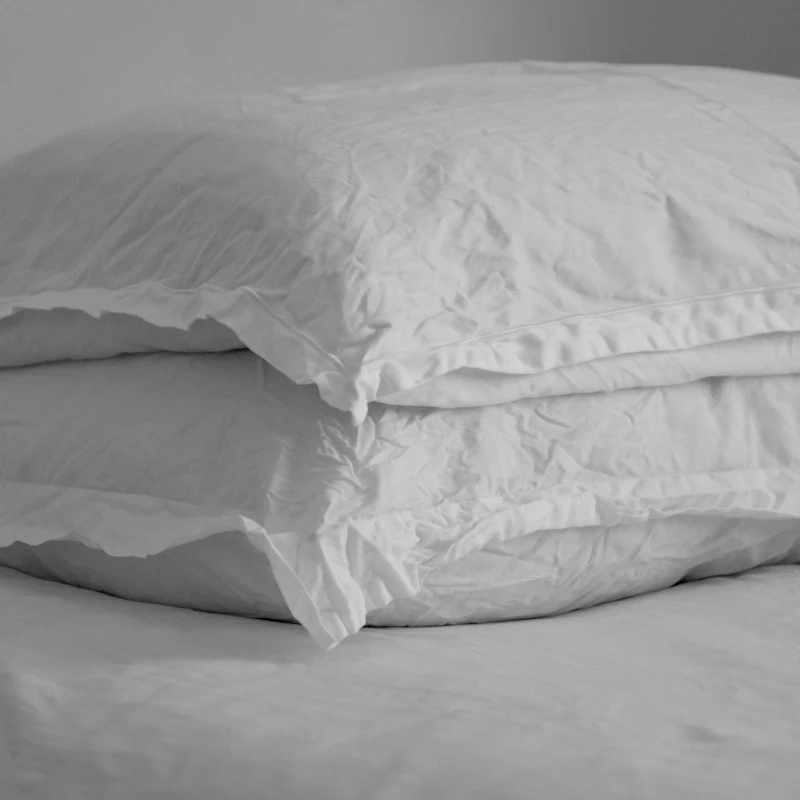 Oreiller Plume Douce 50 × 70